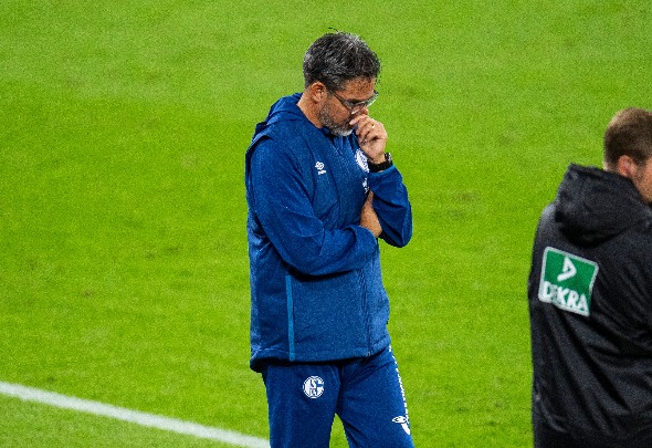David Wagner